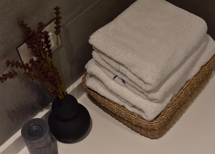 Tam Skanderbeg Square Mozart Center No5 公寓 *